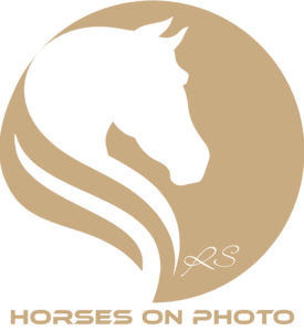 Horses on Photo